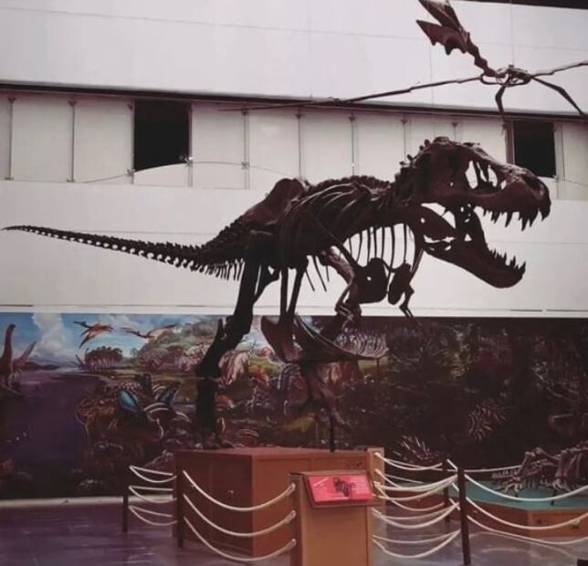 A qué museos entran gratis los niños en la CDMX