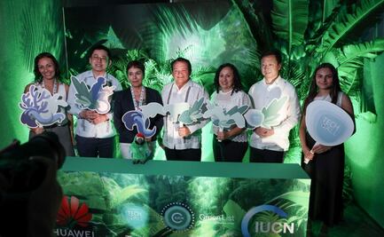 Yucatán impulsa alianzas para conservación del jaguar y el puma; buscan utilizar tecnología como aliada del planeta