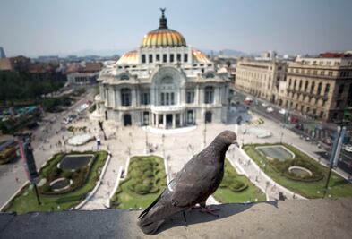 Mejora ligeramente calidad del aire, en marco de desabasto de gasolina