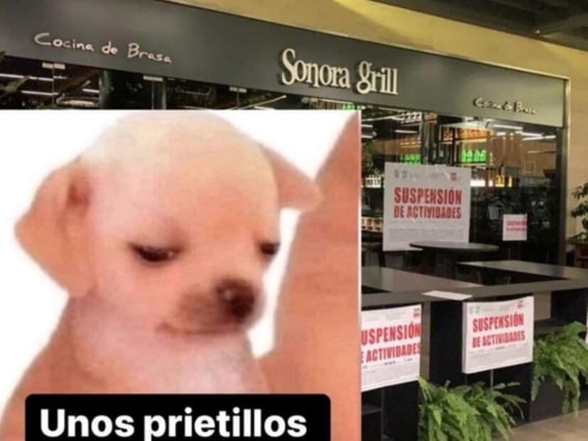 El escándalo de Sonora Grill, la viruela del mono como emergencia sanitaria y el extraño comportamiento de Ezra Miller en los memes de la semana
