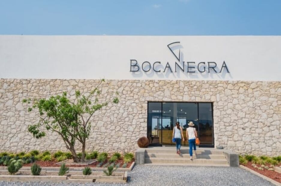 Festival Viva El Queso: degustaciones y catas con vino en Querétaro