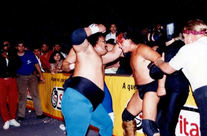 El gran Perro Aguayo