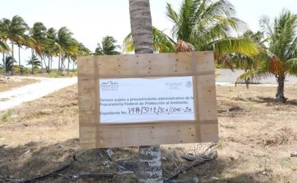 Alertan por ecocidio en varias zonas de Yucatán; Semarnat ya investiga 