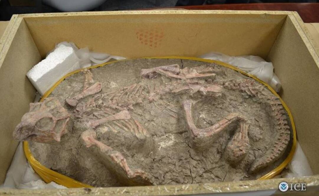 La Oficina de Inmigración y Aduanas de EU informó que el ciudadano canadiense fue sentenciado a cinco años de libertad condicionada y a pagar una multa de 25 mil dólares. Foto: EFE