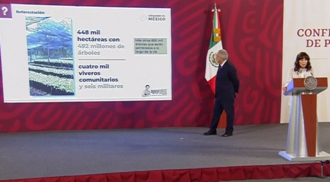 "¿Dónde estaban los pseudoambientalistas?": García Vilchis defiende al Tren Maya ante "devastación" de Xcaret 
