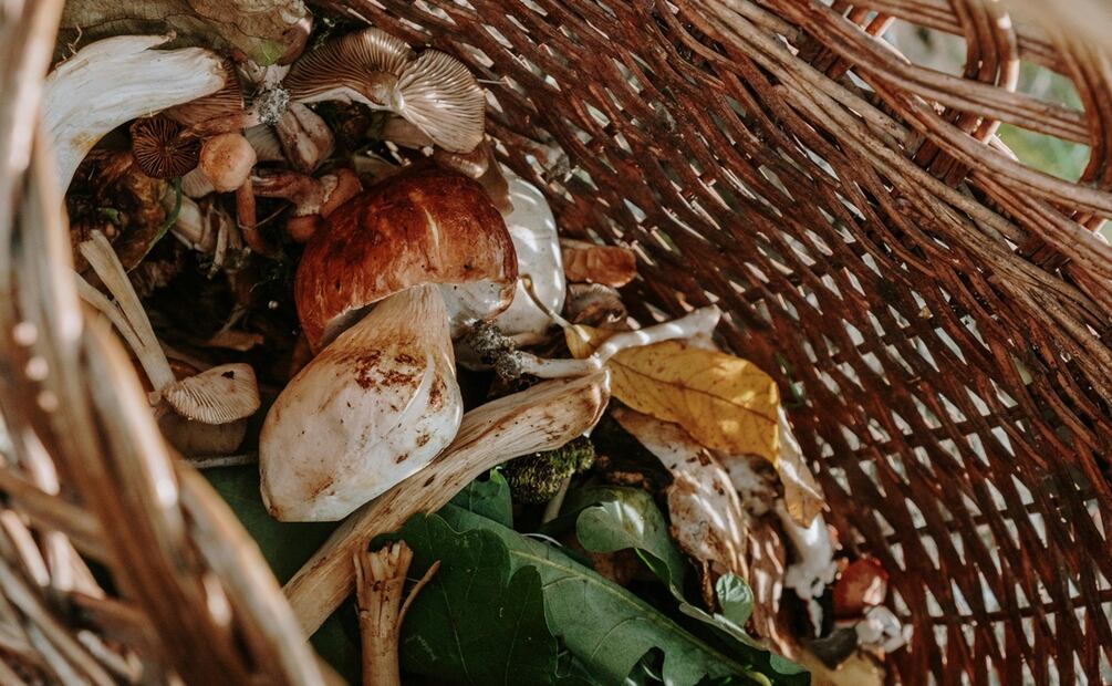 Aprovecha la temporada de lluvias cocinando con estos ingredientes. Foto: Pexels