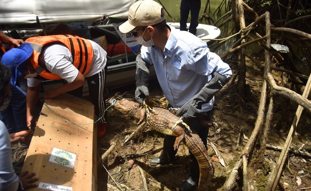 Foto: EFE/ Ernesto Guzmán Jr