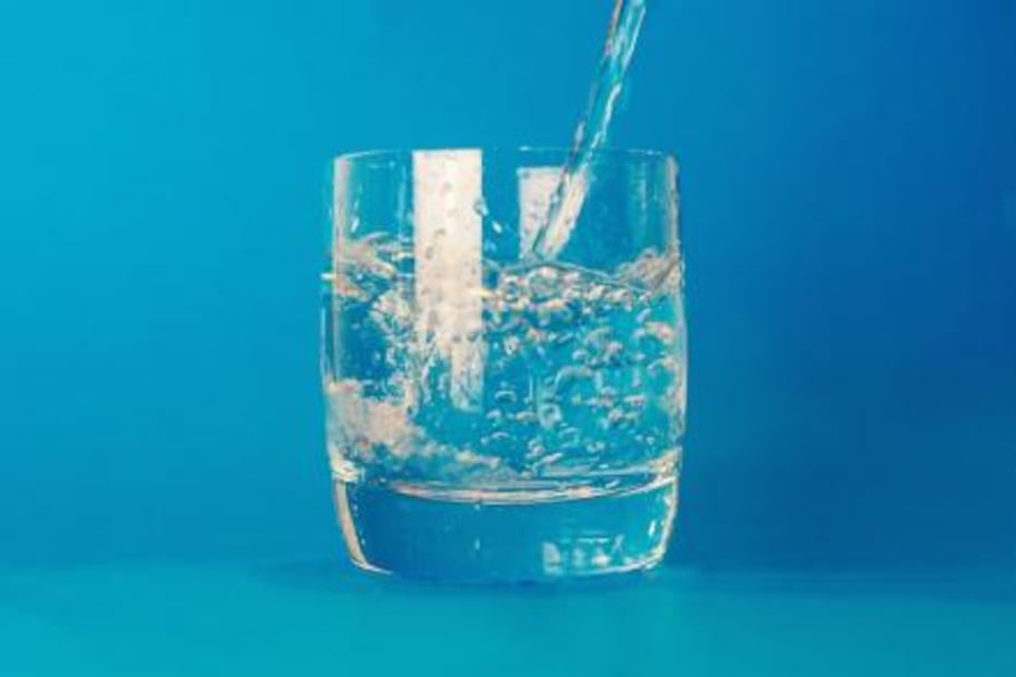 Alimentos que debes comer antes de tomar alcohol