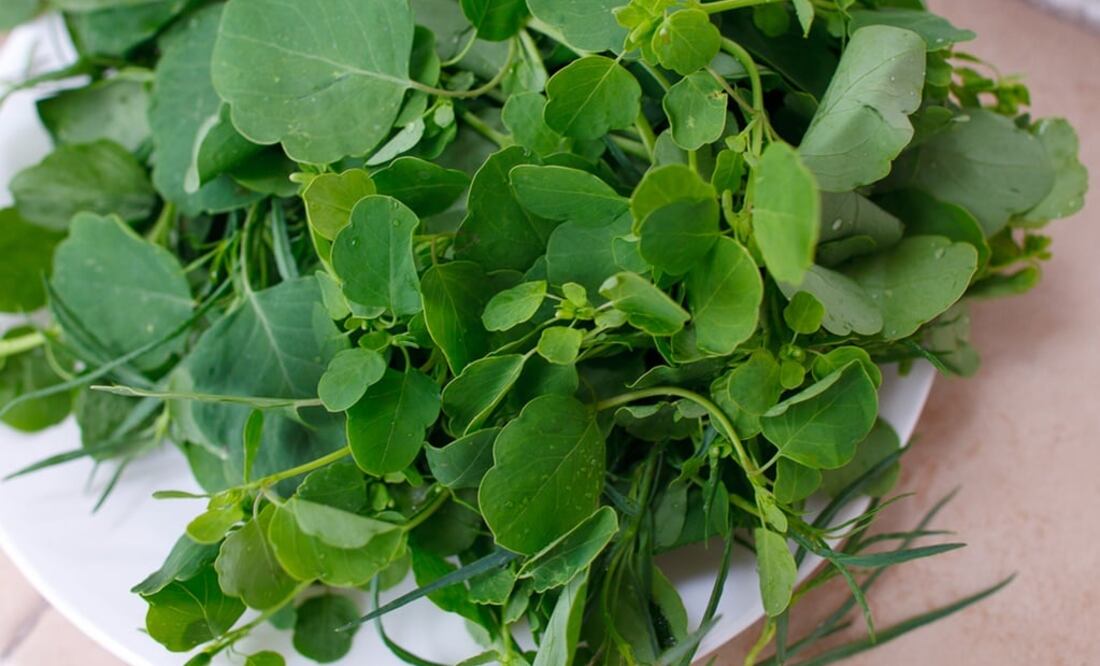 Sirve como laxante y para tratar enfermedades del hígado. (Fotos: Pixabay)