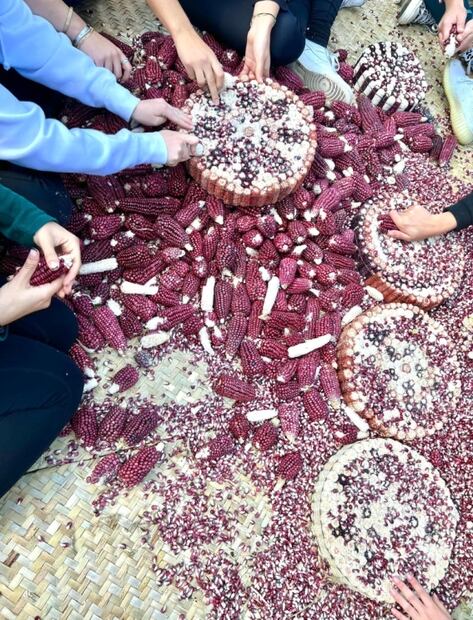 Conoce Hacienda Santa Bárbara: cabañas y picnics a los pies de La Malinche