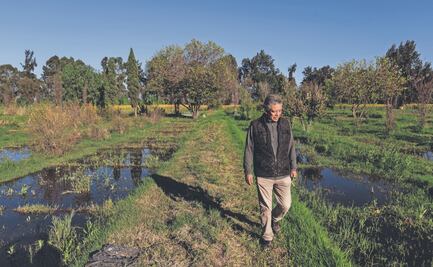 Lo que eran 10 hectáreas de terreno, ahora es un lago; agricultores en Tláhuac pierden cosechas