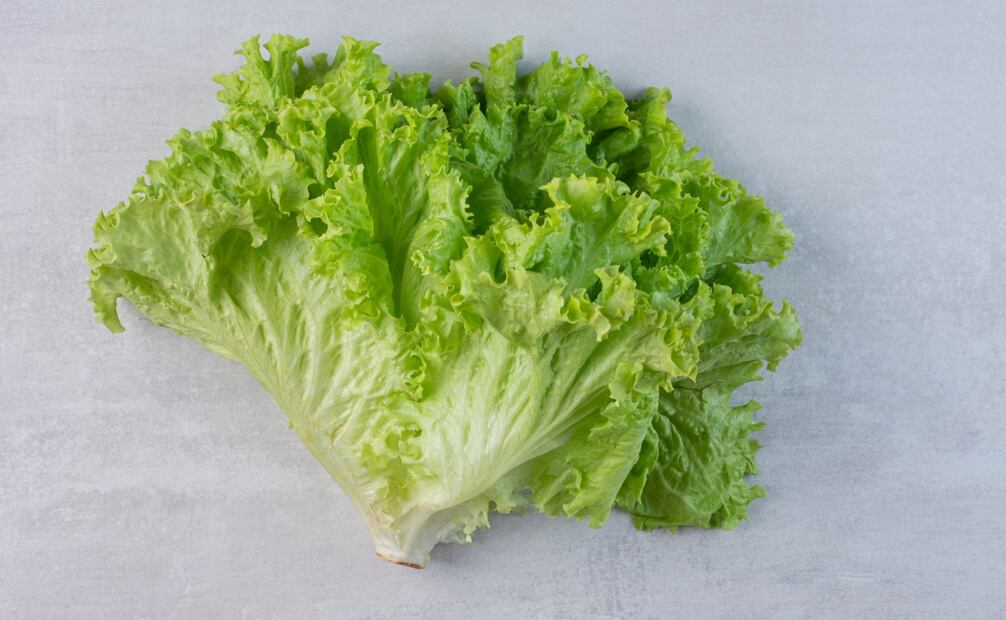 La lechuga, al igual que otros vegetales, puede estar contaminada de microorganismos nocivos. Foto: Freepik