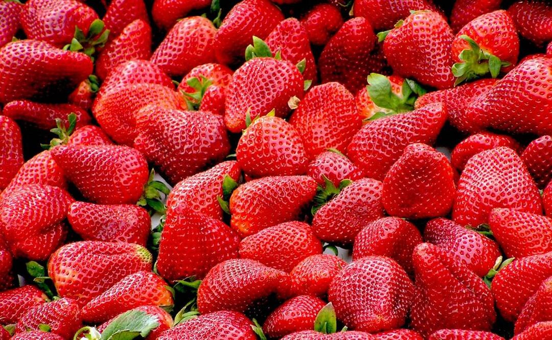 Foto: Pixabay / Pexels