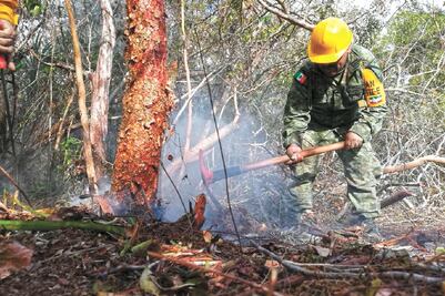 Extinguen incendio en reserva ecológica
