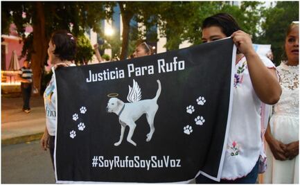 Defensores de derechos de los animales protestan en Yucatán; exigen acelerar investigaciones en casos de maltrato