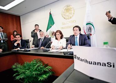 Con cambios, aprueba Senado minuta de miscelánea penal