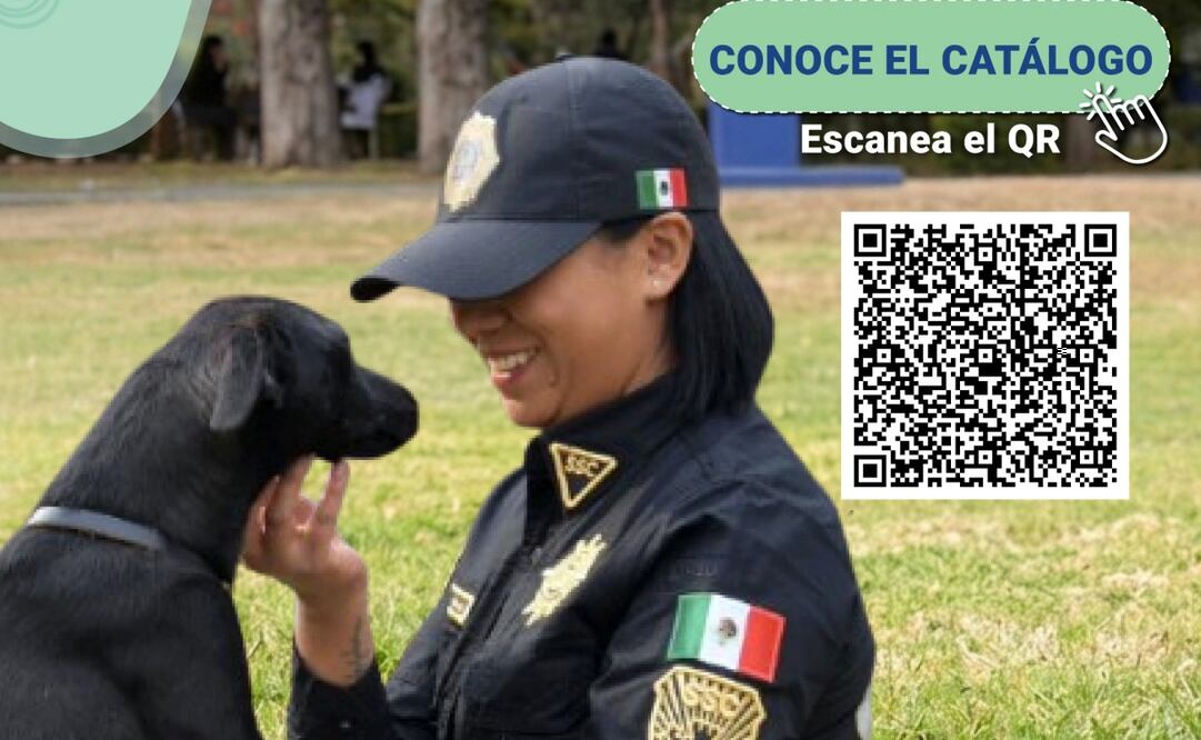 Brigada de Vigilancia Animal pone perritos en adopción. Foto: especial