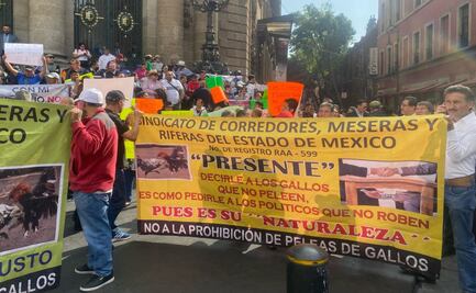 "Es nuestro sustento"; galleros y taurinos se manifiestan contra iniciativa para prohibir corridas de toros y peleas de gallos