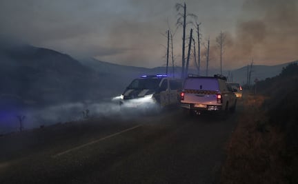 FOTOS: Incendios forestales en España, una de las “mayores catástrofes ambientales” de los últimos años