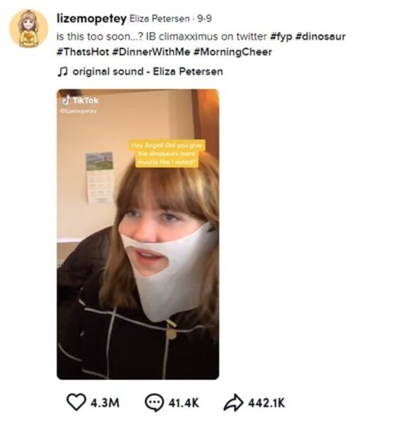 Estos son los videos más virales de 2020 de TikTok