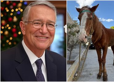 Piden apoyo a Salinas Pliego para jubilar a "Pancho", caballo carretonero; empresario pide pruebas de autenticidad