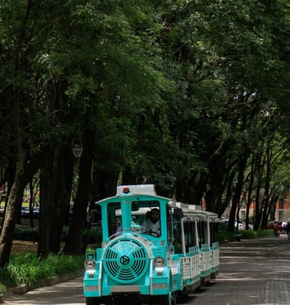 Cuándo serán los recorridos nocturnos del trenecito de Chapultepec