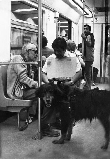 Los primeros perros lazarillos