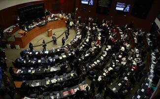 Senadores de Morena respaldan decisión de prohibir doble nacionalidad de gobernantes; "el Estado no admite lealtades divididas", afirman