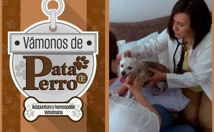 Vámonos de Pata de Perro. Homeopatía y acupuntura para tu mascota	