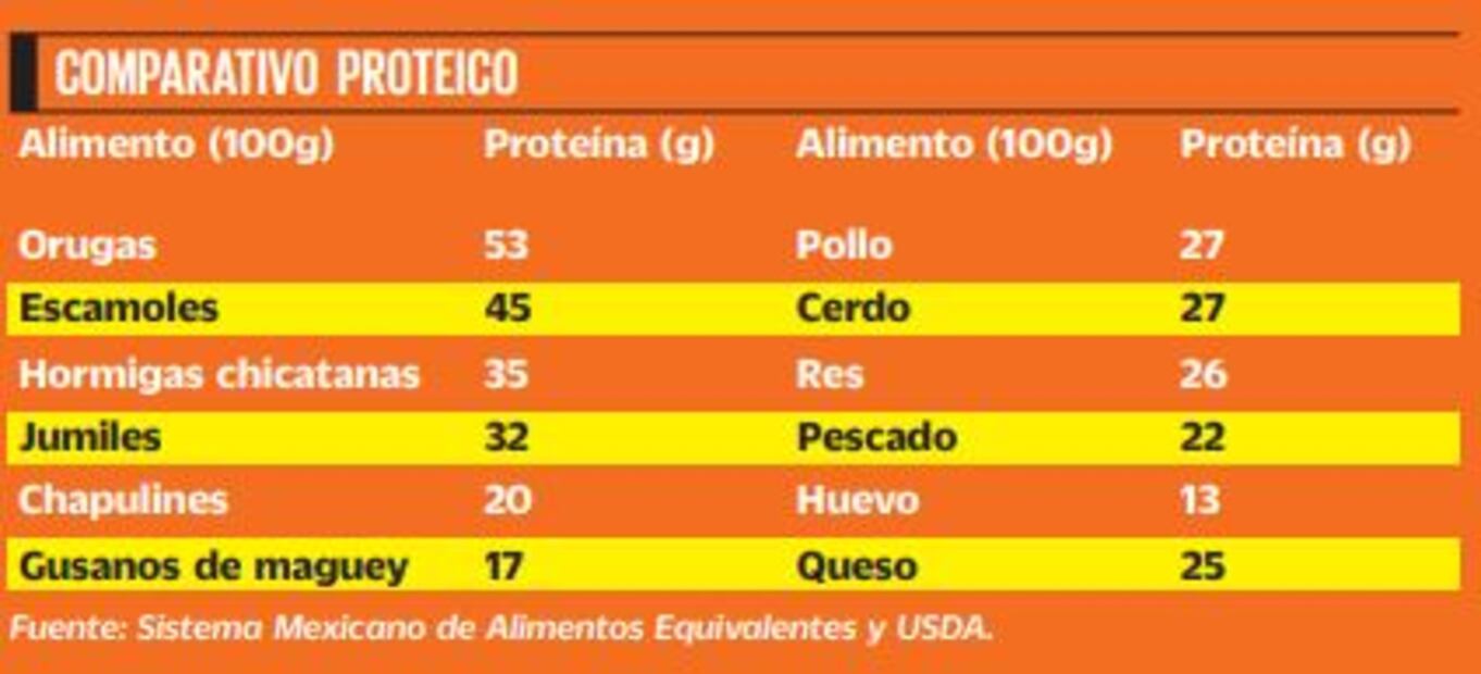 Comparativo proteico de insectos comestibles. Foto: Cortesía