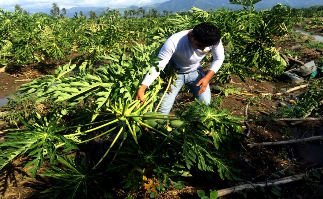 FOTO Archivo EL UNIVERSAL