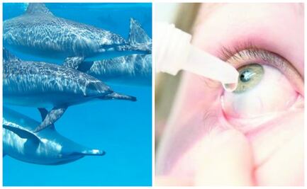 ¿Qué se celebra hoy, 23 de julio?; conoce las efemérides de este miércoles 