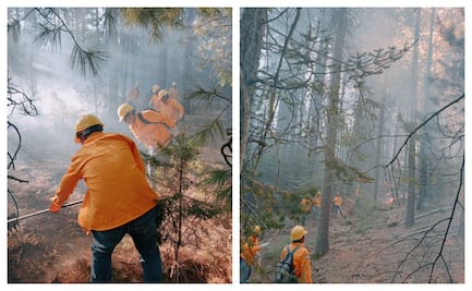 Más de 300 brigadistas combaten incendios forestales en Chihuahua; 17 focos activos en 8 municipios