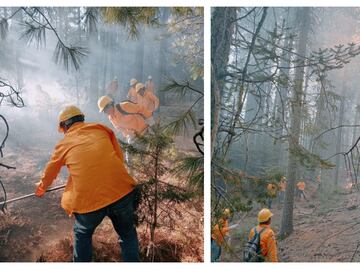 Más de 300 brigadistas combaten incendios forestales en Chihuahua; 17 focos activos en 8 municipios