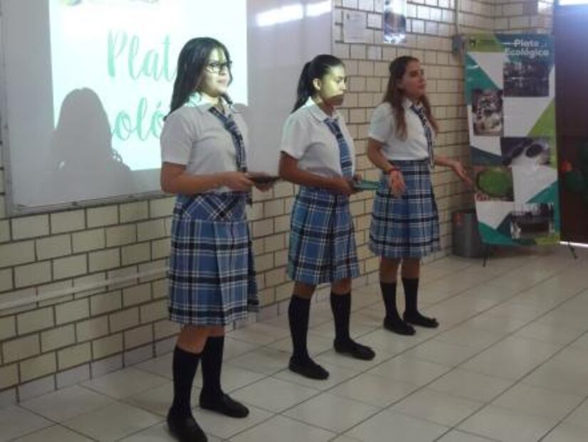 Mexicanas crean platos con nopal