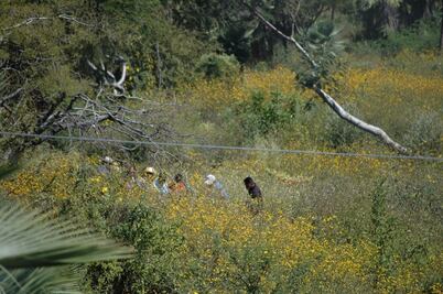 Lo que sabemos del feminicidio de niña de 4 años hallada semienterrada en canal de Guasave, Sinaloa