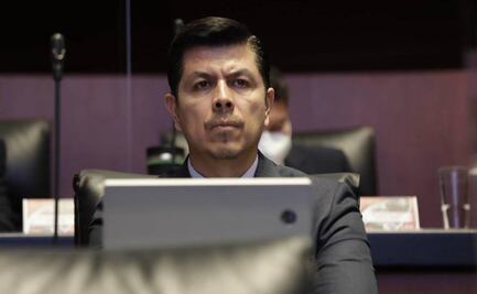 Dichos de Scherer hacia Gertz y Sánchez Cordero no abonan a agenda de la 4T, dice senador por Morena 