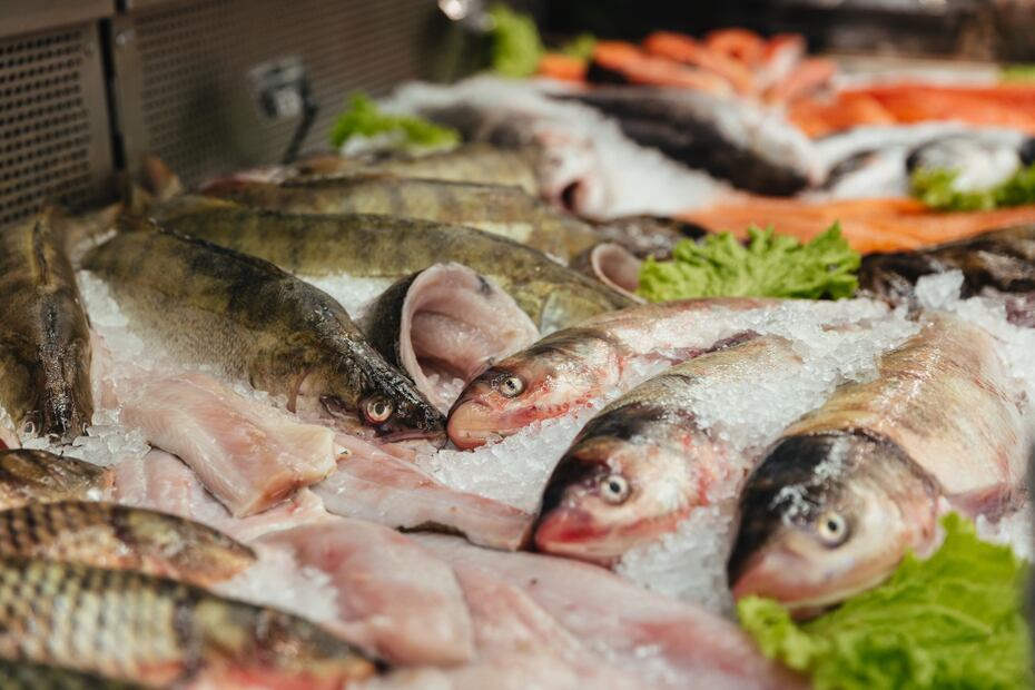 El pescado congelado puede conservarse de 3 a 6 meses. Foto: Freepik