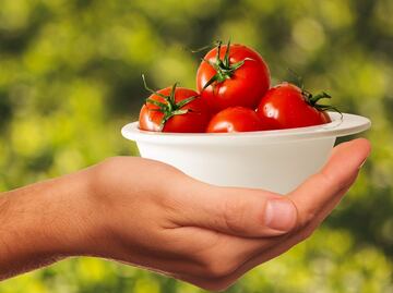Alimentos que cuidan tu piel