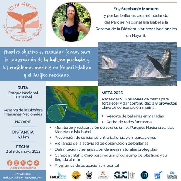 La atleta mexicana Stephanie Montero nadará 43 kilómetros en Nayarit para concientizar sobre la conservación de las ballenas. Foto: Conanp