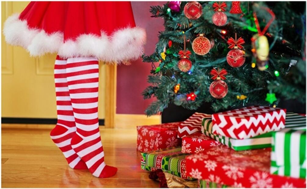 Pide árbol de Navidad por internet en diciembre y lo devuelve en enero