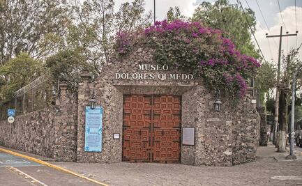 Silencio de las autoridades y el manejo de las colecciones privadas: las preocupaciones del caso del Museo Dolores Olmedo