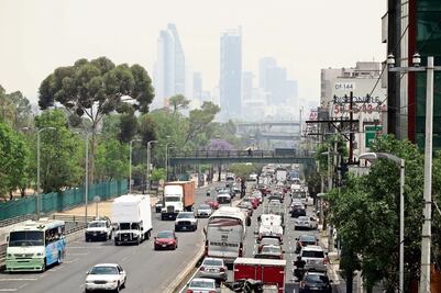 Falta apoyo de federación en tema ambiental: MAM