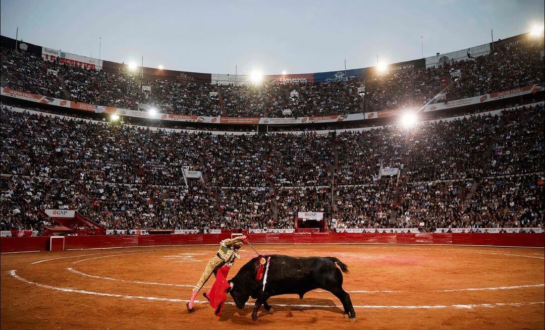 Una jueza federal ordenó suspender de inmediato las corridas de toros en la Plaza México, que apenas se reanudaron el fin de semana pasado. Foto: AFP