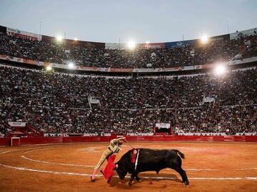 Revés a taurinos: Jueza ordena la suspensión inmediata de las corridas de toros en la Plaza México