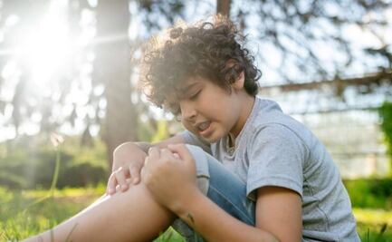 El remedio herbal que detiene las hemorragias y sirve como potente antiséptico adormecedor