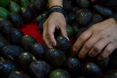 Aguacate sigue en precio máximo de $90