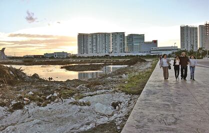 Tribunal ordena a Semarnat restaurar manglar de Tajamar