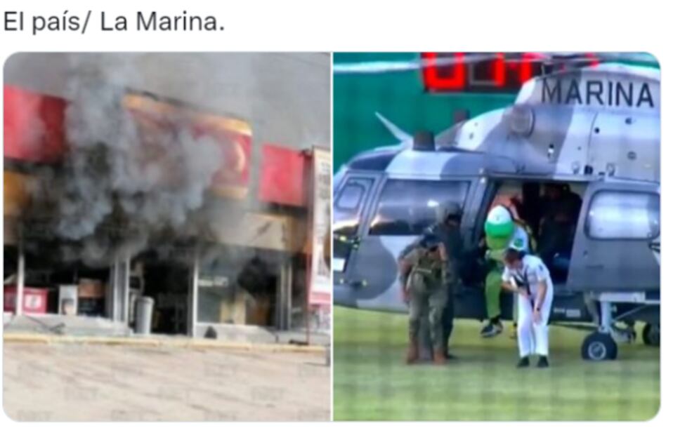 El golpe de Lady Gaga, el sismo en la madrugada y el aterrizaje de “Pochi” en lo mejor de los memes de la semana