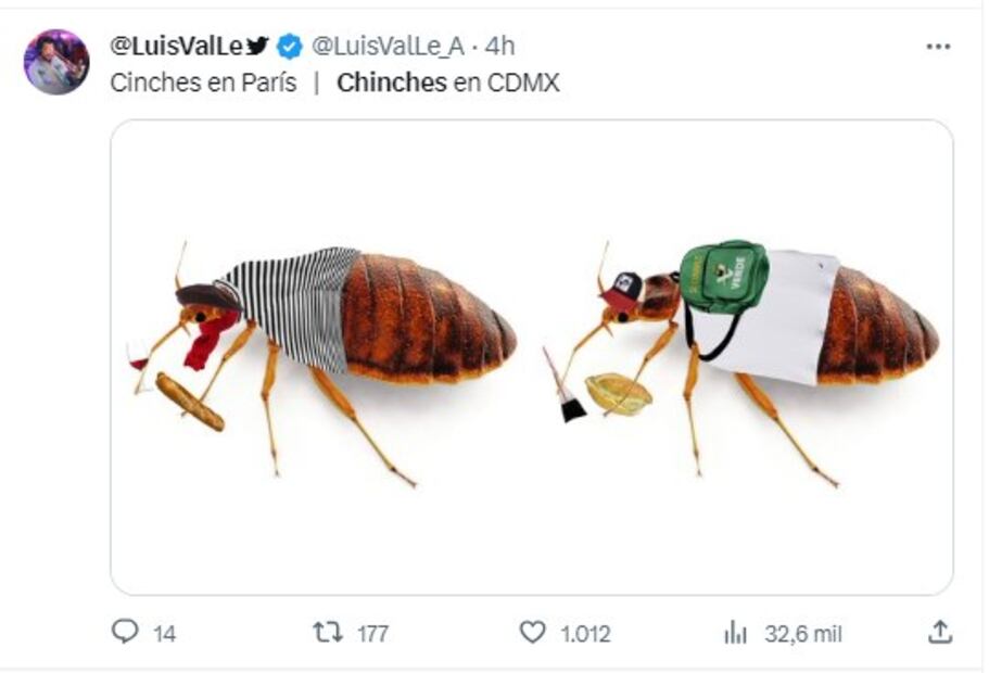 Meme plaga de chinches en la UNAM